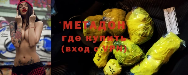 прущие грибы Алзамай