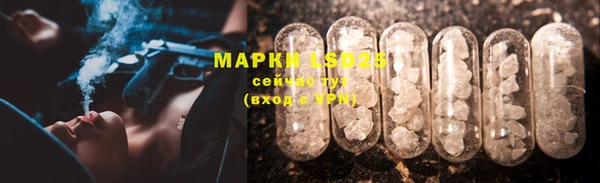 прущие грибы Алексин