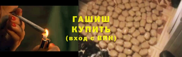 прущие грибы Алзамай