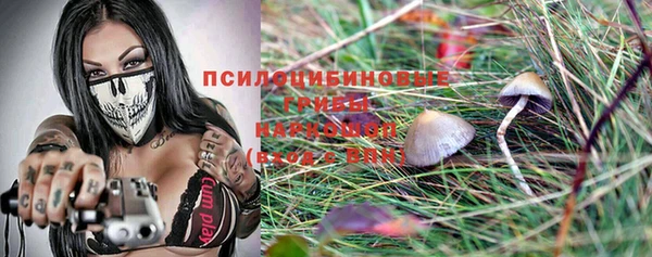 прущие грибы Алексин