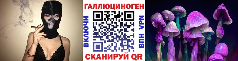 Галлюциногенные грибы Cubensis  Купить закладки  Циолковский 
